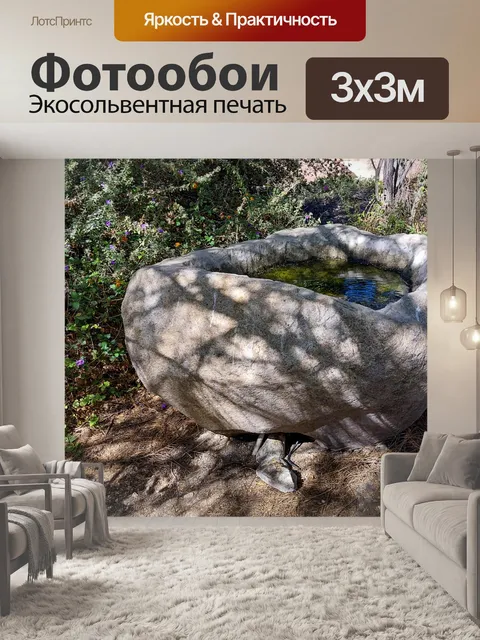 Фотообои Небольшой каменный пруд