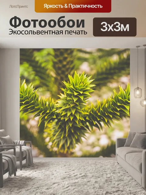 Фотообои Дерево