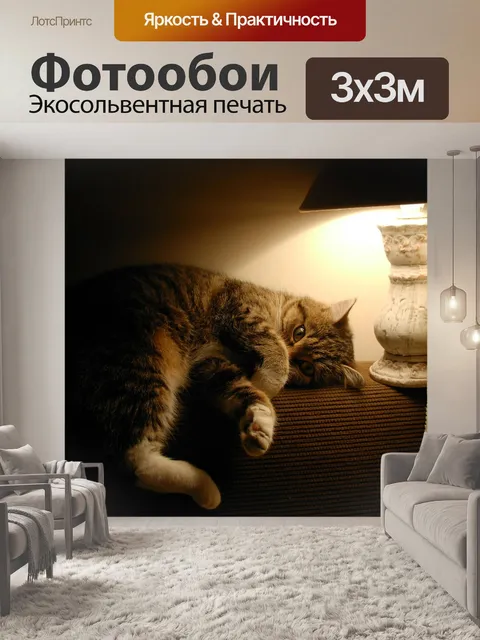 Фотообои Кошка