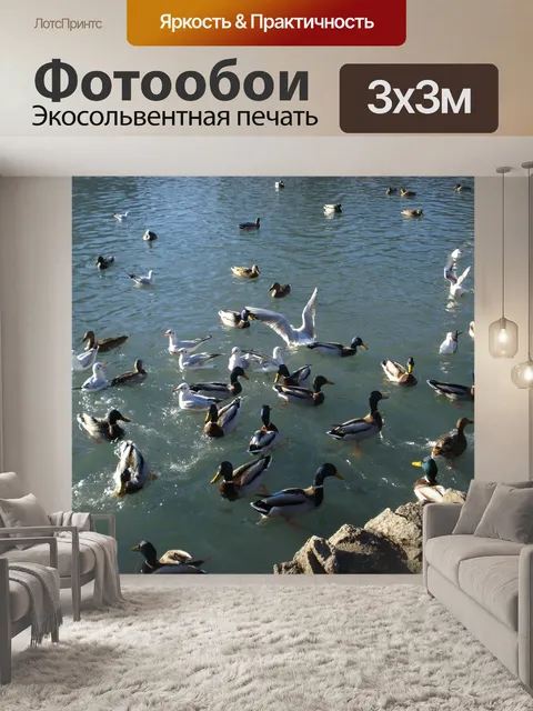 Фотообои Птицы