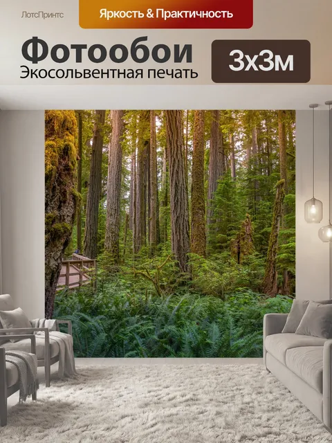 Фотообои Деревья