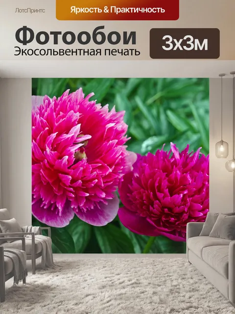 Фотообои Ницца цветов