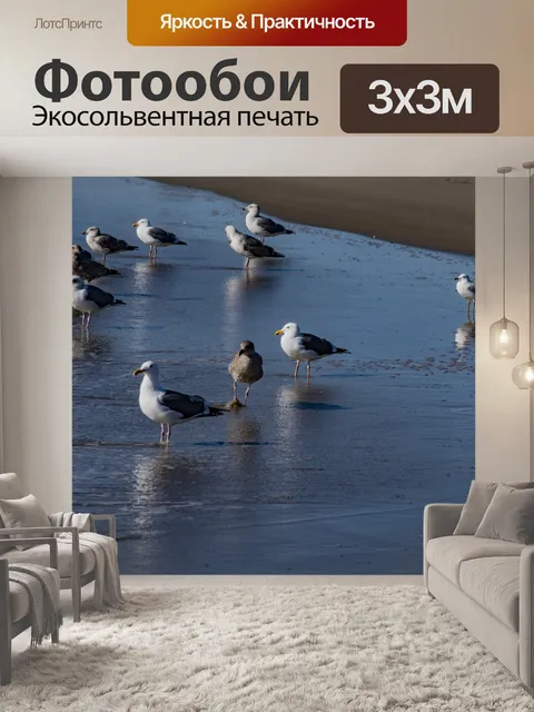 Фотообои Чайки на берегу
