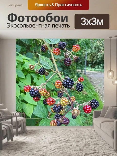 Фотообои Ягода