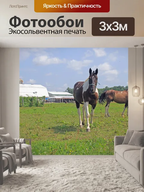 Фотообои Ферма