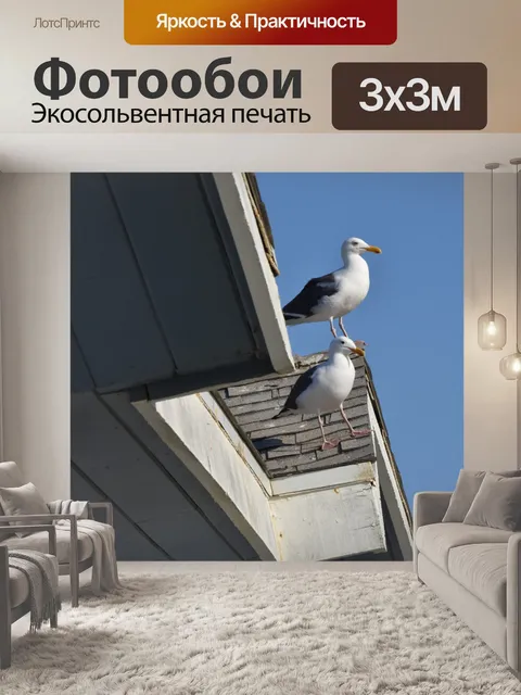 Фотообои Чайки на крыше