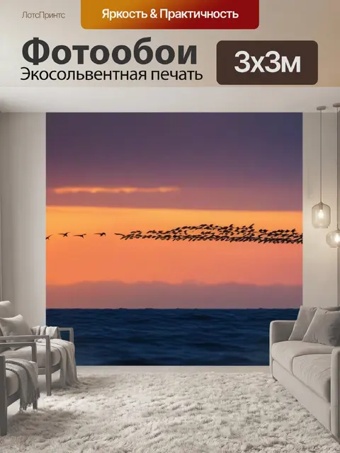 Фотообои морские птицы в вечернем небе