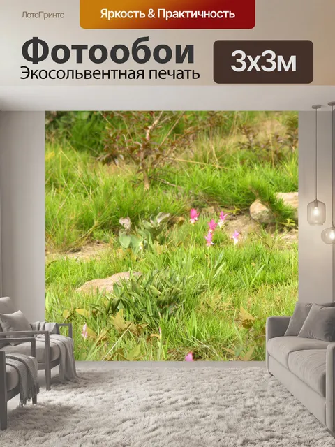 Фотообои Сиам тюльпан цветок Па Хин Нгам