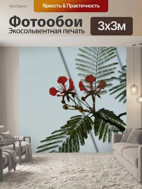 Фотообои Цветок