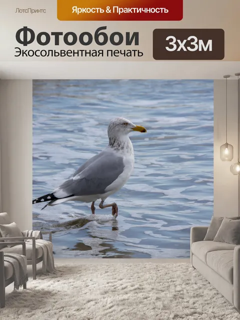 Фотообои чайка