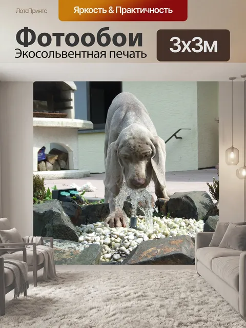 Фотообои Собака