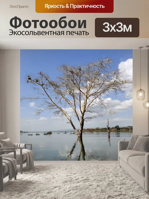 Фотообои Озеро наиваша