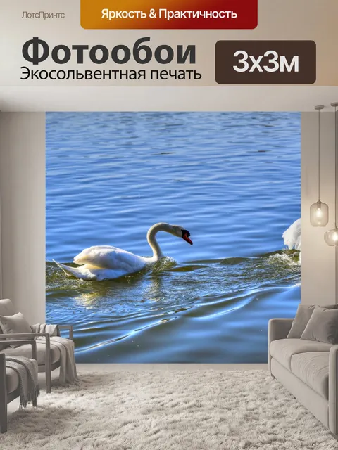 Фотообои Лебеди