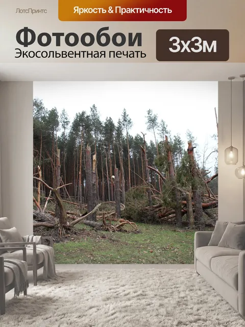 Фотообои Дерево