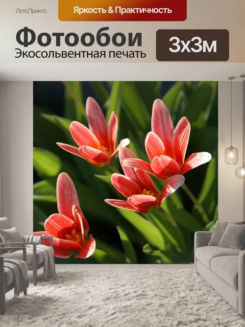 Фотообои Тюльпаны