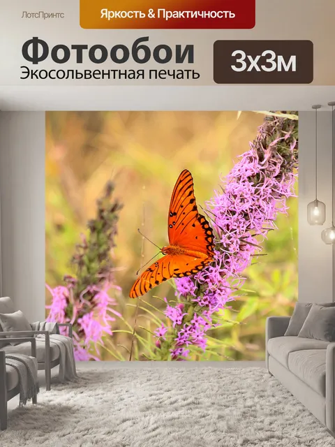 Фотообои Залив Fritillary Butterfly