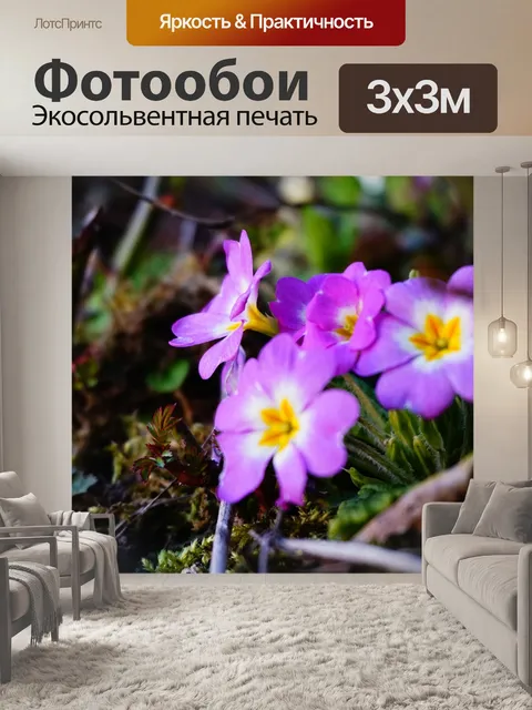 Фотообои Цветы
