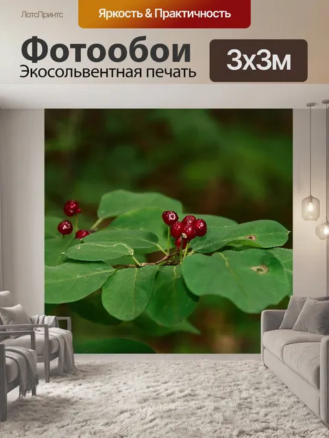 Фотообои Лес