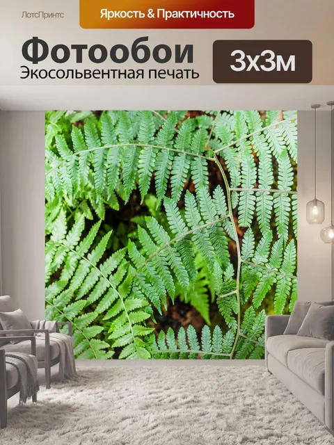 Фотообои Красивые папоротники зеленые листья