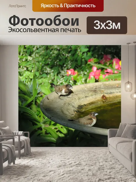 Фотообои Птицы