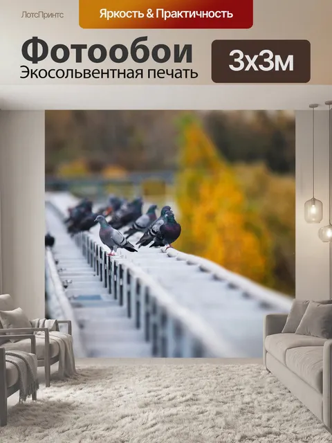 Фотообои Голуби