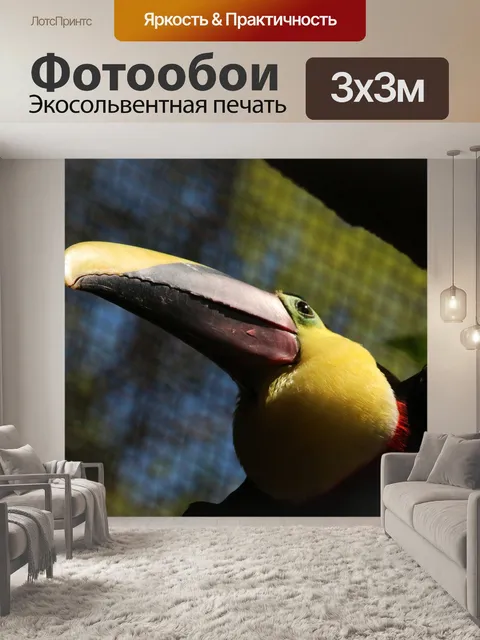 Фотообои Птицы