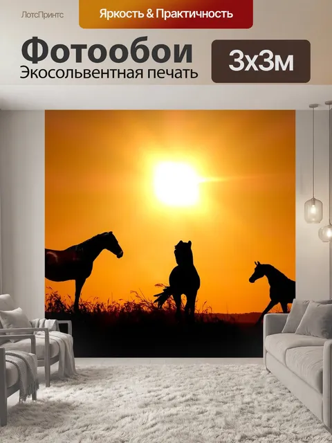 Фотообои Заход солнца