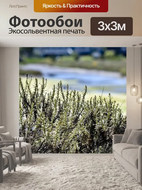 Фотообои Береговая линия завод