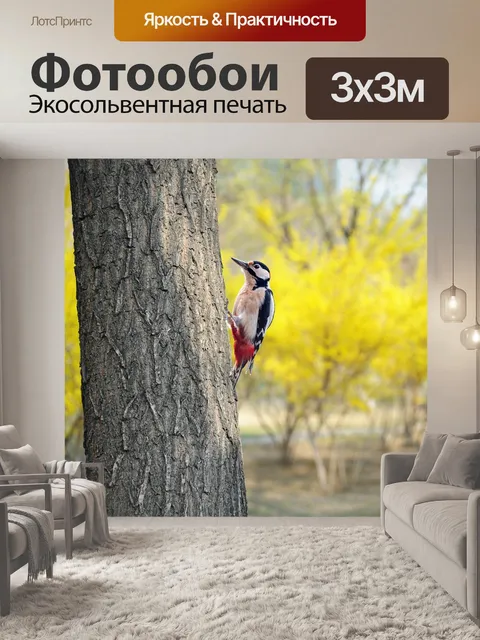 Фотообои Дятел