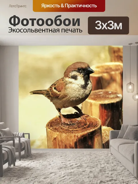 Фотообои Птица