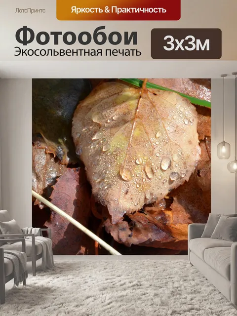 Фотообои Лиф и росы