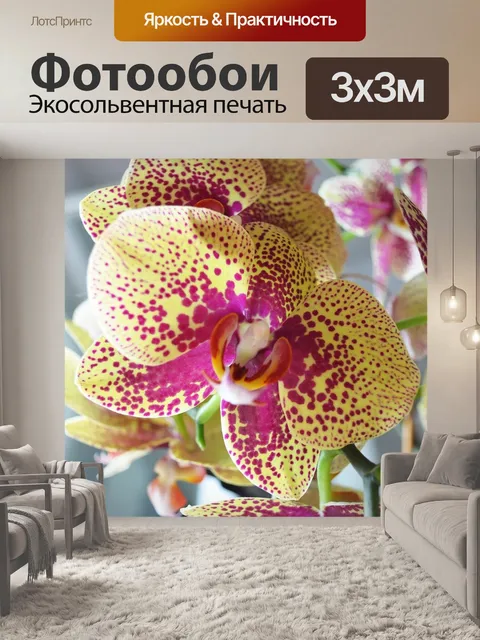 Фотообои Желтый красный орхидеи