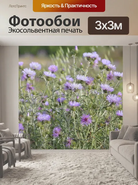 Фотообои Цветы