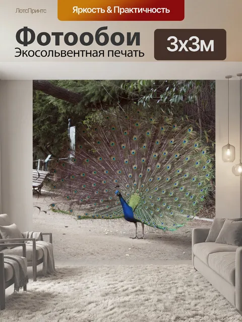 Фотообои Павлин