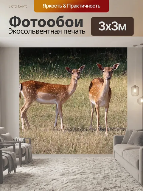 Фотообои Олень