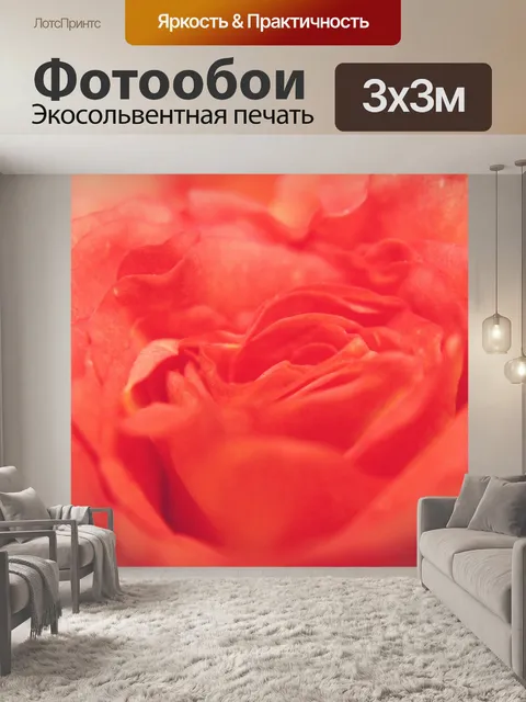 Фотообои Роуз