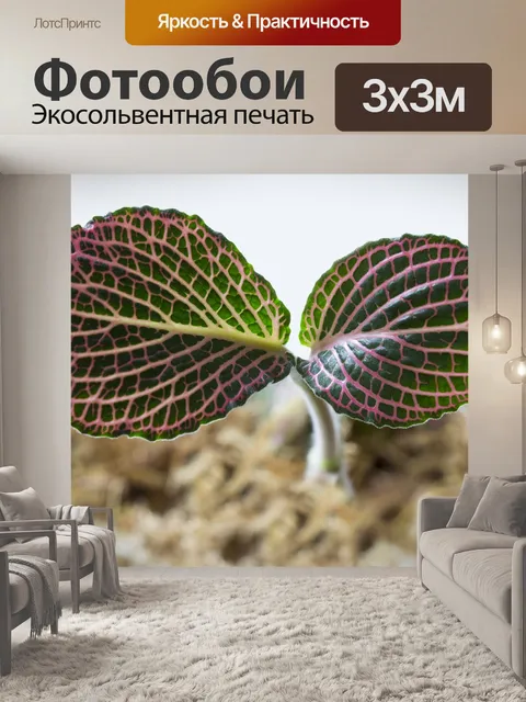 Фотообои Макрос