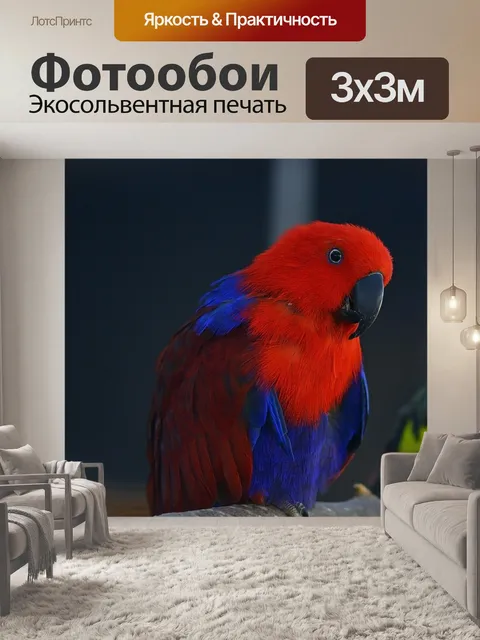 Фотообои Дикая природа