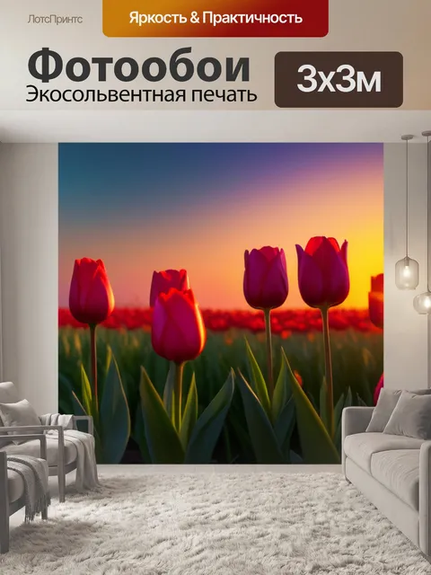 Фотообои тюльпаны во время заката