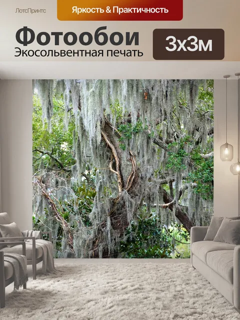 Фотообои Природа