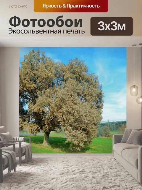 Фотообои Луг