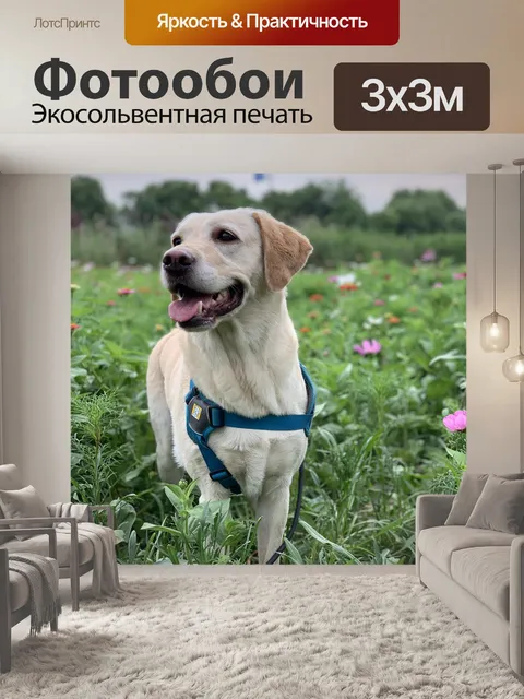 Фотообои Цветок