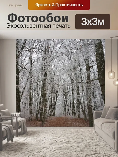 Фотообои Лес