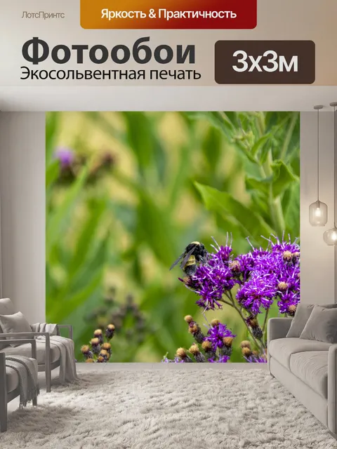 Фотообои пчела на полевых цветах
