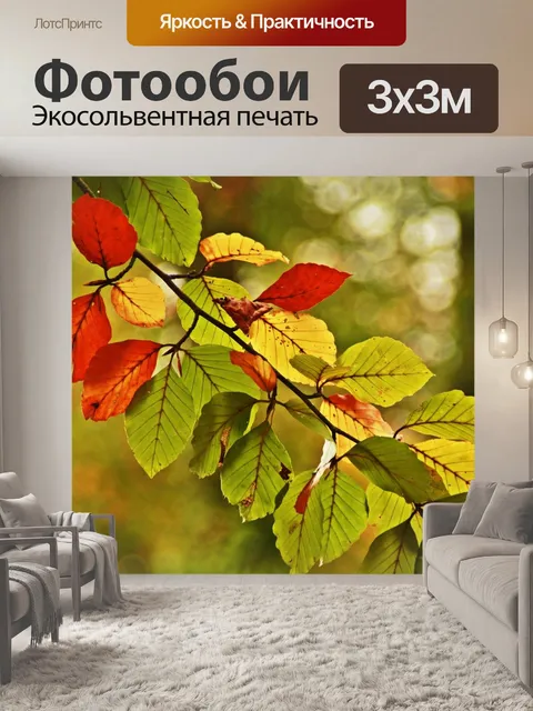 Фотообои Лист