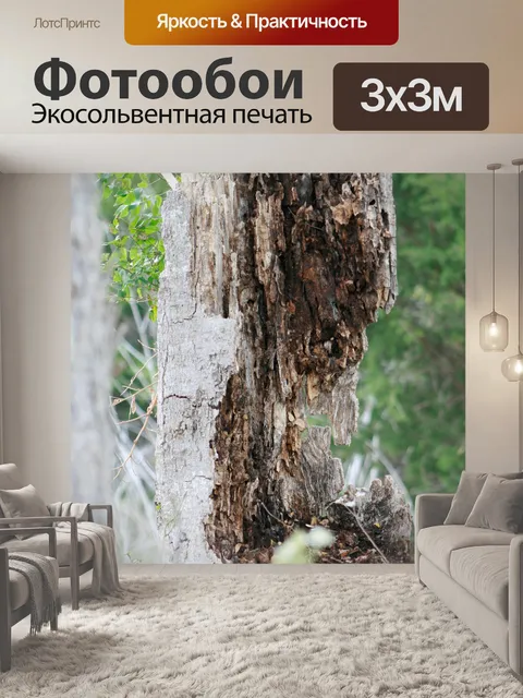 Фотообои Ствол дерева