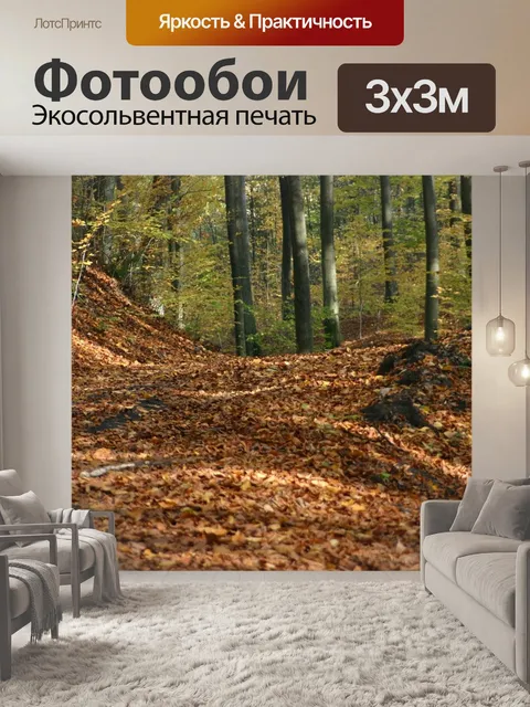 Фотообои Лес