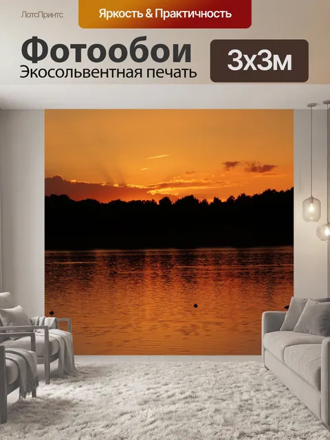 Фотообои Водоплавающие птицы на закате