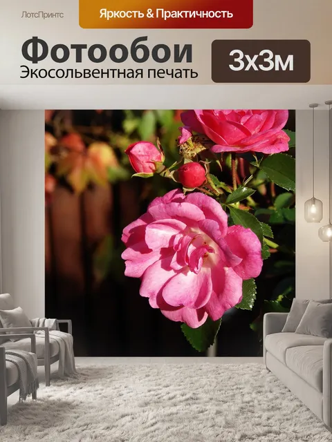 Фотообои Розы
