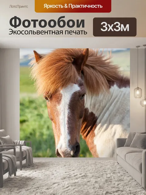 Фотообои Животное